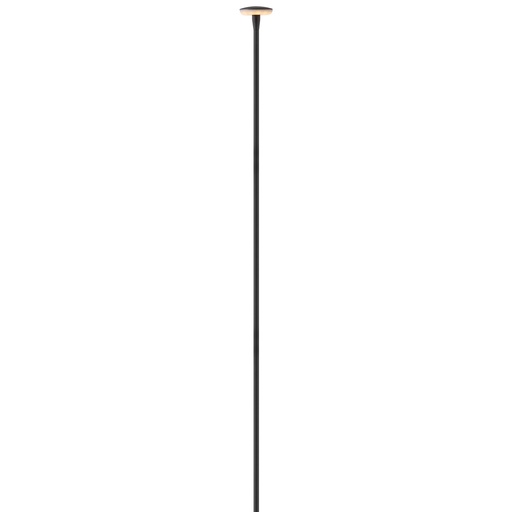 Hinkley Calie 12V Large Stem Path Light (15695BK)