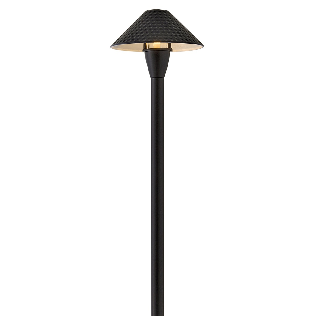 Hinkley Hardy Island Path Light 12V Large Hammered LED (16007BSK-LL)