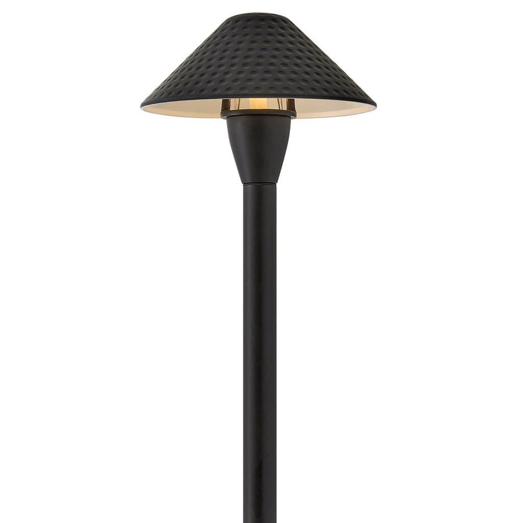 Hinkley Hardy Island Path Light 12V Small Hammered LED (16010BSK-LL)