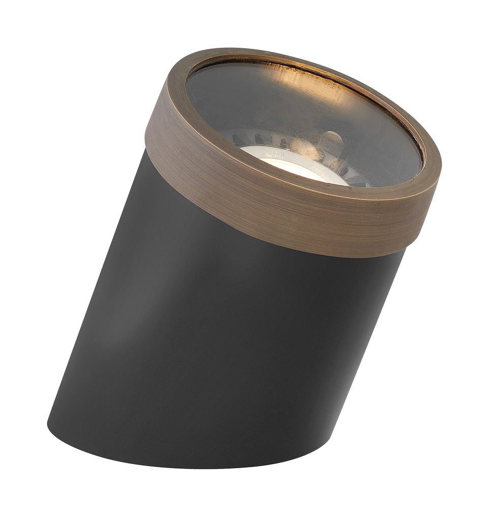 Hinkley Well Light Par36 Flat Top (1598MZ-FT)