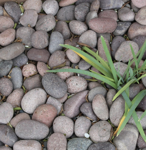 Small Red Mexican Beach Pebbles